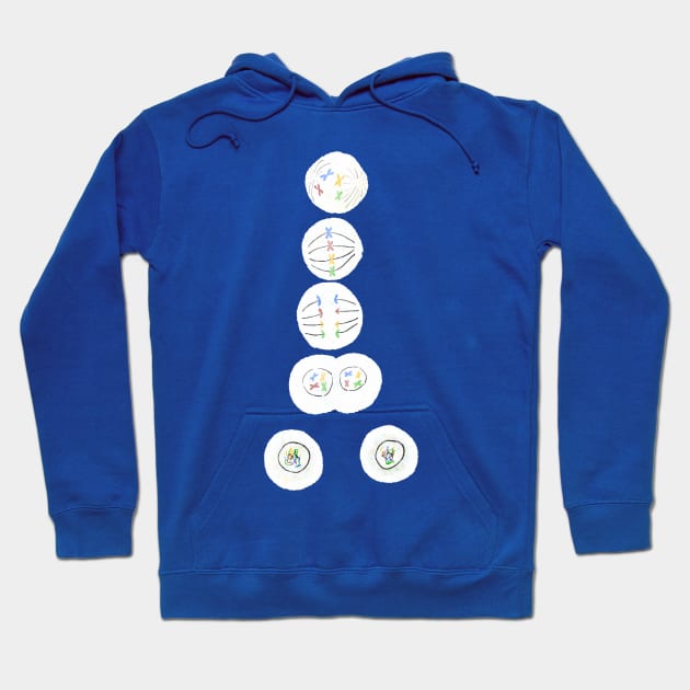 Mitosis Cell Division Biology Science Blue Hoodie by labstud